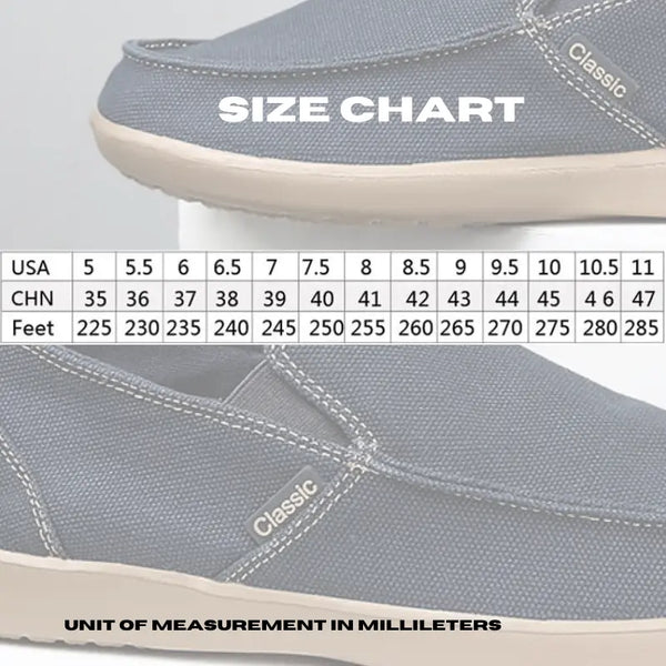 New Walking Canvas Shoes