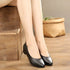 files/pointed-toe-pumps.webp