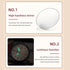 files/waterproof-watch-for-ladies.webp