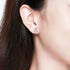 products/silver-earrings.jpg