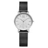 products/silver-slim-watch.webp